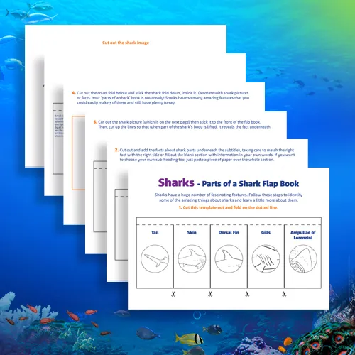 T&T Partsofashark500x500
