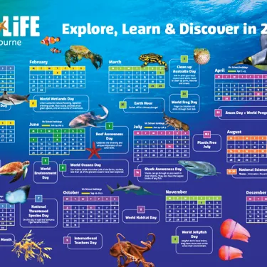 SLMA Calendar Screenshot
