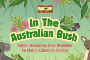 Intheausbush 1920X1080 2