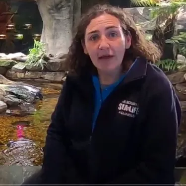 Freshwater Habitatsscreenshot