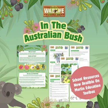 Intheausbush 500X500