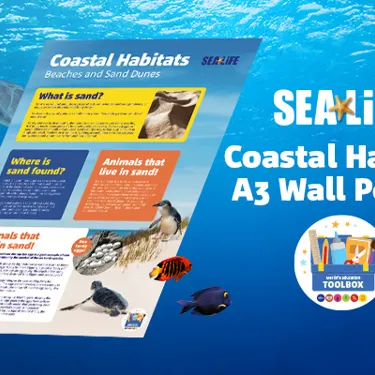 Wallposter Wesbiteimage 600X400