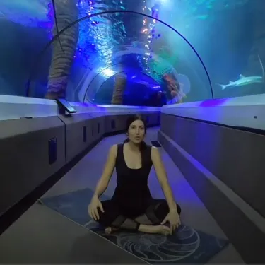 Capture Yoga (1)