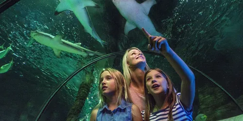 SLSC Oceanarium (2)