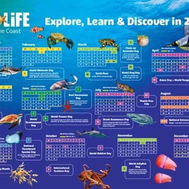 SLSC Calendar Screenshot