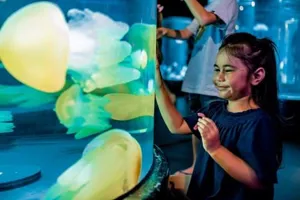 Girl Interacts With Display In Jellyfish Lullaby Exhibit At Sea Life Sydney Aquarium
