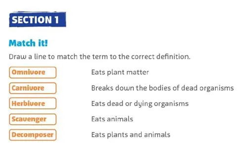 Slfood Web S4