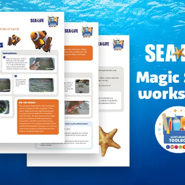 Worksheet Wesbiteimage 600X400