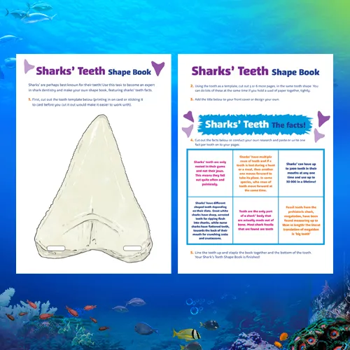 T&T Sharkteethshapebook500x500