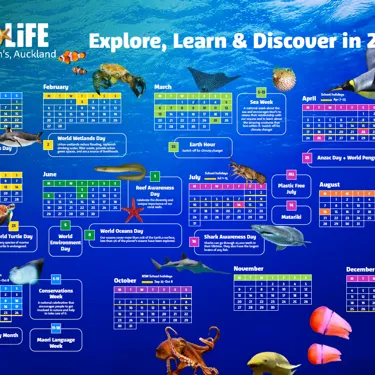 SLKT Calendar Screenshot