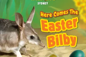 A picture of a bilby