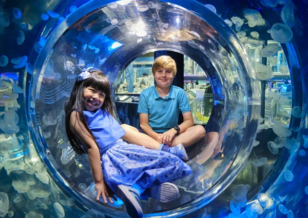 SLMA Ocean Invaders Chloe Haryadi & Sebi Roberts (1)