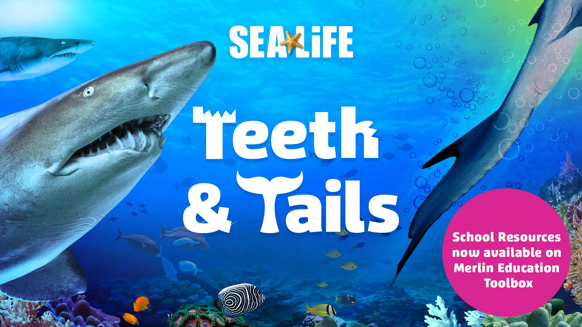 Teeth&Tails 1920X1080